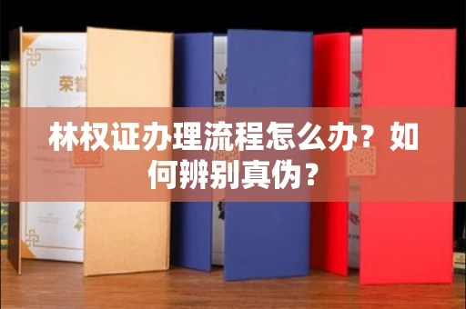 贵阳林权证办理流程怎么办?如何辨别真伪?